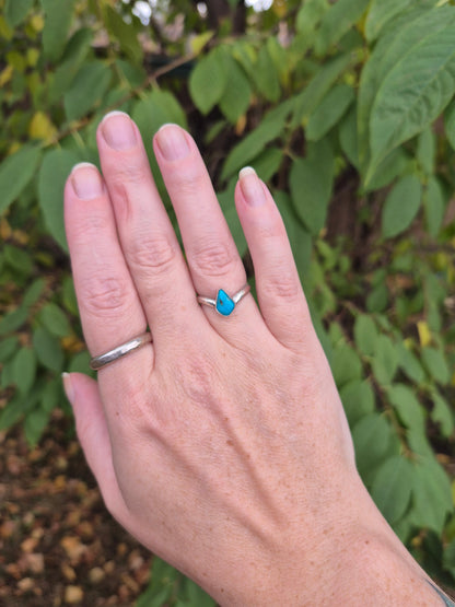 Hand wearing two rings with a turquoise gemstone against a green leafy background