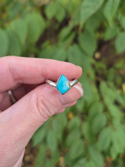 Hand holding a silver ring with a turquoise stone against a blurred green leafy background